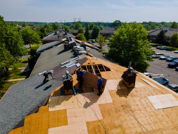 Best Flat Roof Repair Services  in Ripley, WV