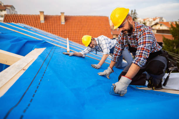Professional Roofing Contractor in Ripley, WV